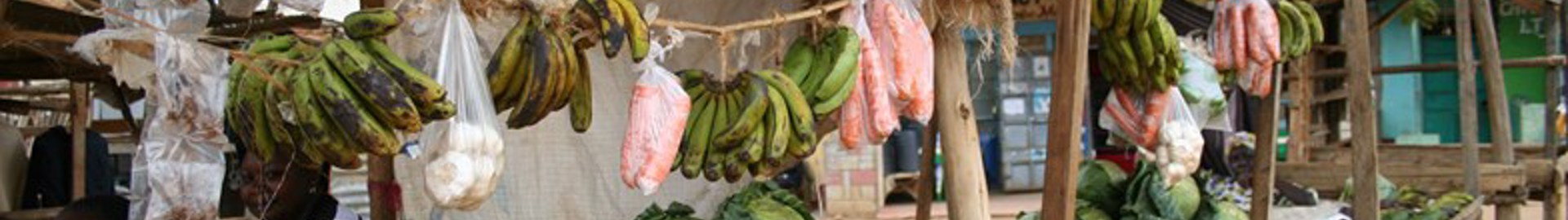 Transforming agricultural production in Kenya